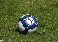 双色球预测,巅峰,期神预测,武汉体彩,武汉体彩网,武汉体彩网官网,体育彩票,体彩大乐透,竞彩足球,体彩公益