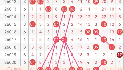第2026024期 大乐透2026024期专家质合分析推荐：