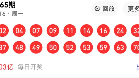 大乐透2026028期曲亮预测推荐汇总