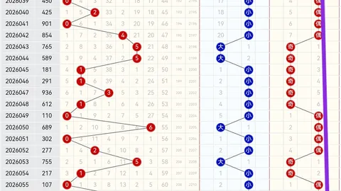大乐透期号26052专家质合分析推荐前区十码